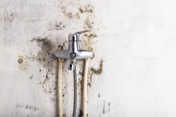 Best Mold Testing  in Kaukauna, WI