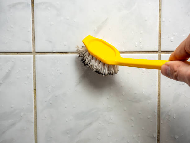 Best Home Mold Removal  in Kaukauna, WI