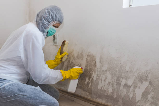 Best Mold Removal Process  in Kaukauna, WI