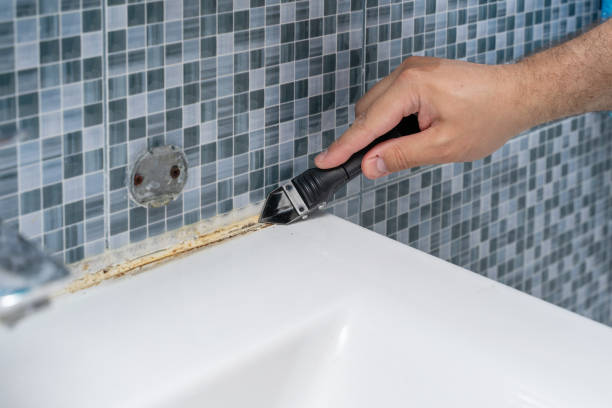 Best Commercial Mold Removal  in Kaukauna, WI