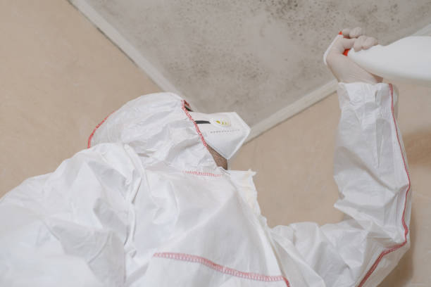 Mold Removal Process in Kaukauna, WI