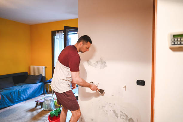 Best Certified Mold Removal  in Kaukauna, WI