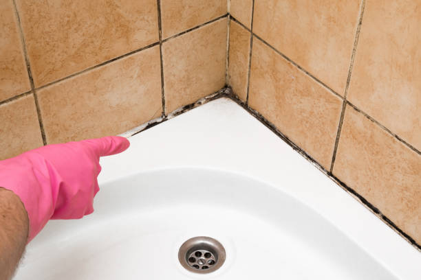 Best Office Mold Removal Services  in Kaukauna, WI